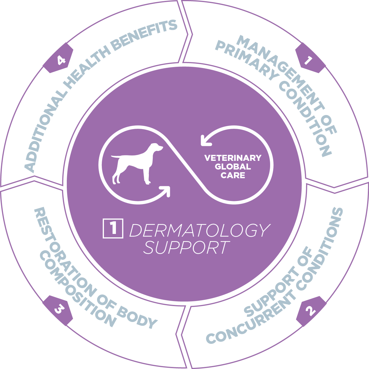 VETERINARY HPM® Dermatology 2